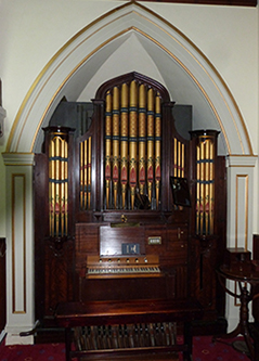 Organ